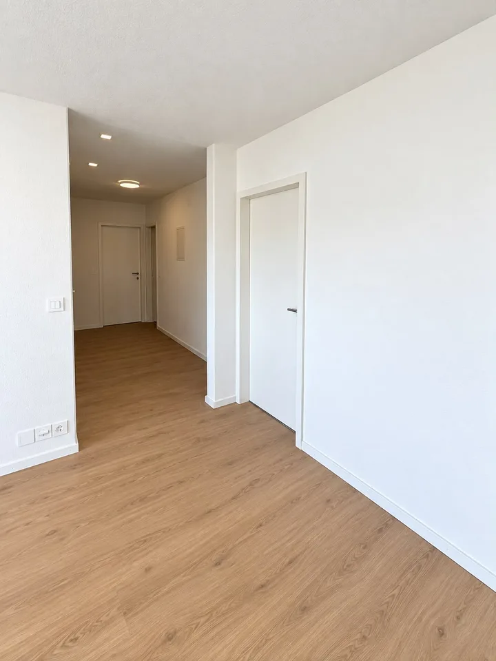 Prima locazione - appartamento in mansarda di 5,5 locali con terrazza