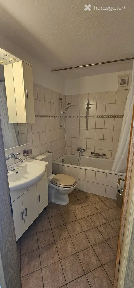 4.5 room apartment 2250 including utilities and garage