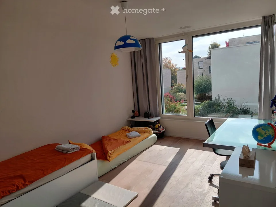 Neubau mit Sicht auf Basel - house to rent