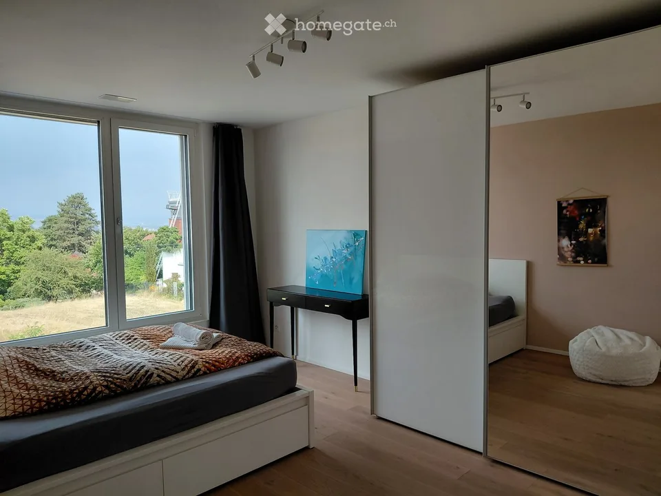 Neubau mit Sicht auf Basel - house to rent