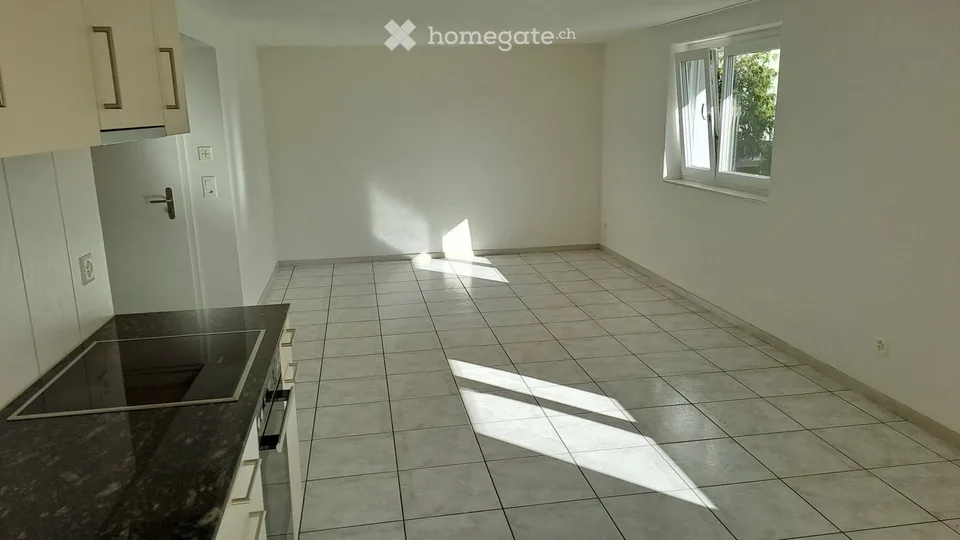 Appartement 2.5 pièces lumineux avec terrasse