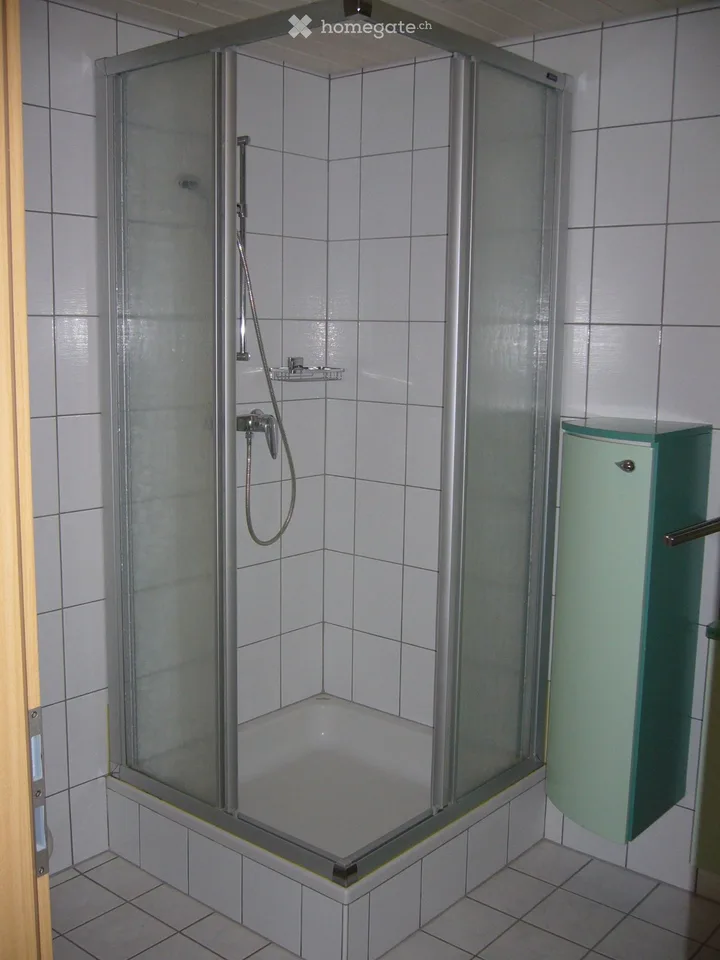 Geräumiges Studio zur Miete in Cornaux