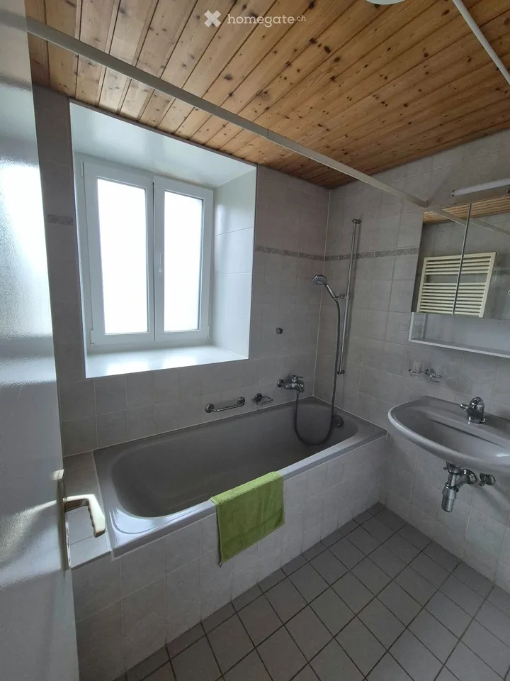 Appartement avec terrasse au bord du lac de Bret à Puidoux