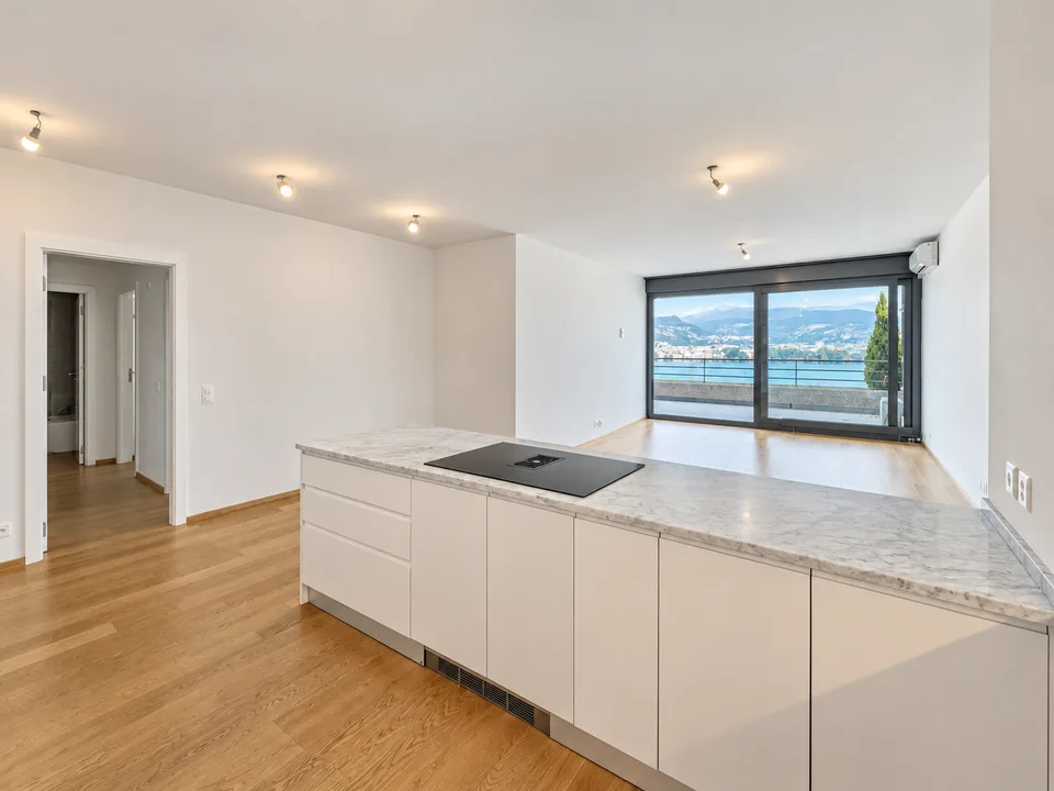 Appartamento 3.5 locali vista lago a Paradiso – foto 2 di 12