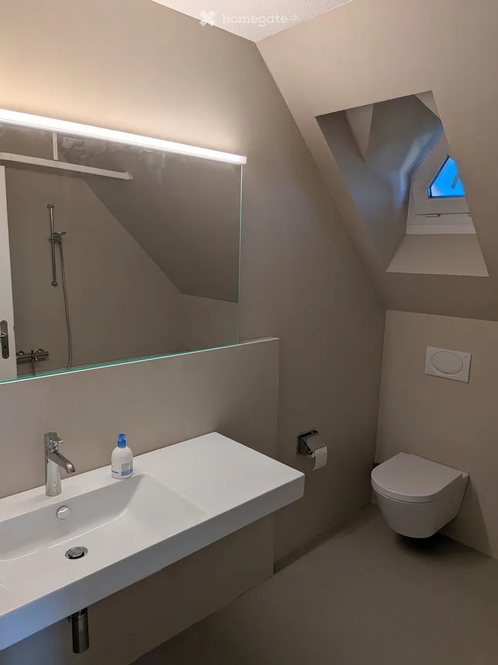 Exceptional Attic Apartment in Thalwil with 180° Views of Lake Zurich and the Alps