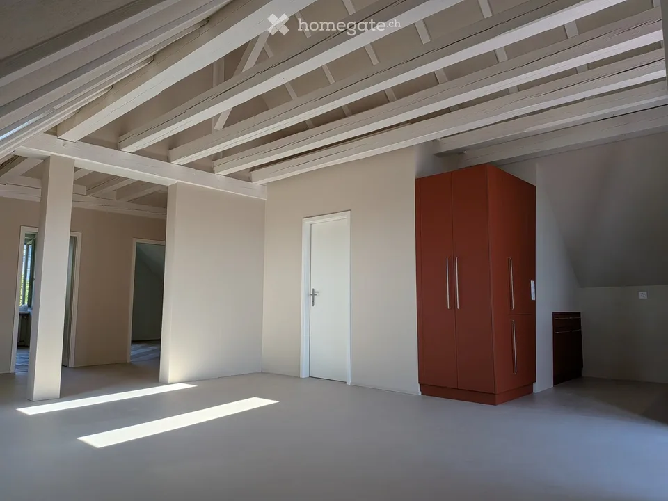 Exceptional Attic Apartment in Thalwil with 180° Views of Lake Zurich and the Alps