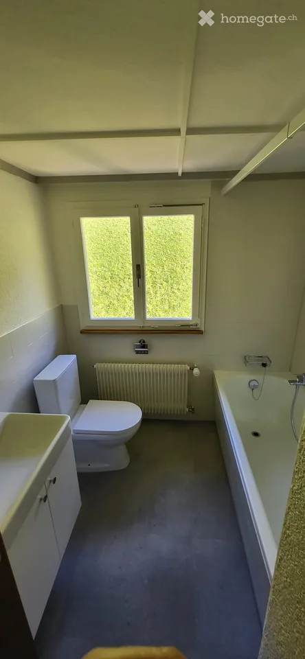Charming 3.5-room apartment with a dreamy lake view in Lungern