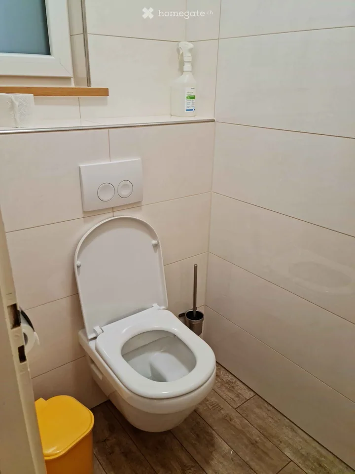 Appartamento 6 locali 150 m², altezza della stanza 2,7 metri - Centro Herisau - Balcone, stanza del camino, giardino, parcheggio