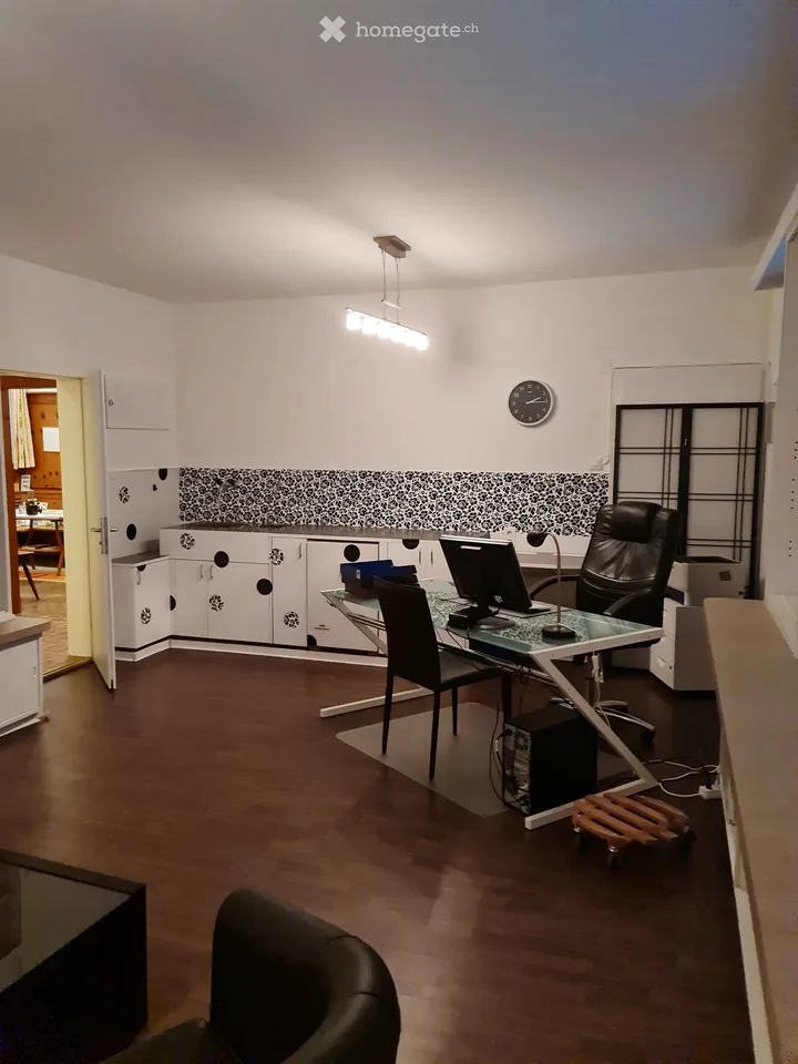 Appartamento 6 locali 150 m², altezza della stanza 2,7 metri - Centro Herisau - Balcone, stanza del camino, giardino, parcheggio