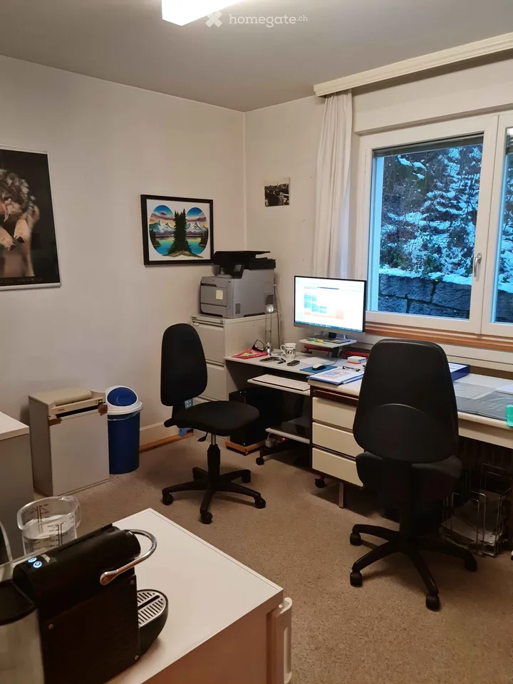 Appartamento 6 locali 150 m², altezza della stanza 2,7 metri - Centro Herisau - Balcone, stanza del camino, giardino, parcheggio