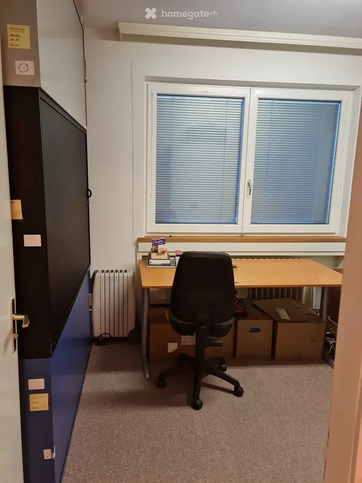 Appartamento 6 locali 150 m², altezza della stanza 2,7 metri - Centro Herisau - Balcone, stanza del camino, giardino, parcheggio