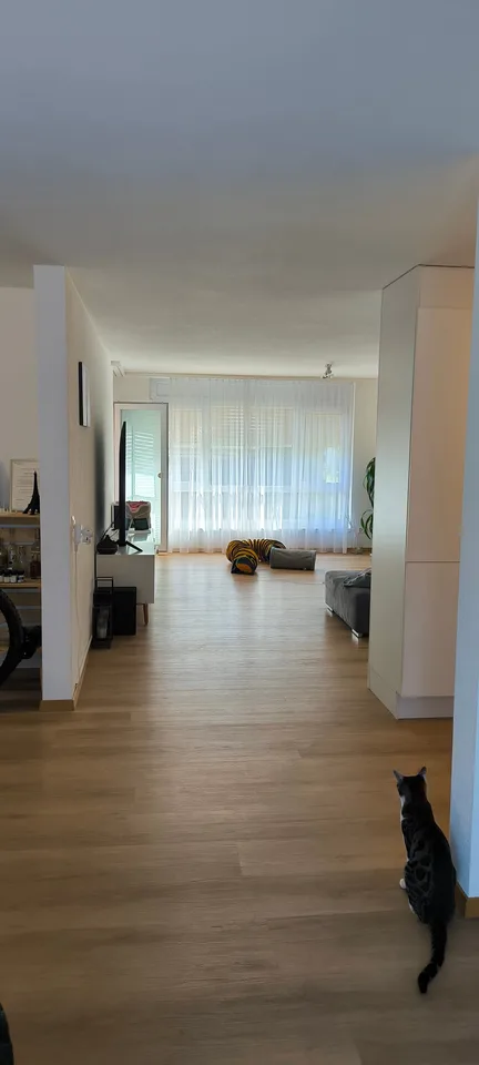 Appartement de 4,5 pièces modernisé dans un quartier calme