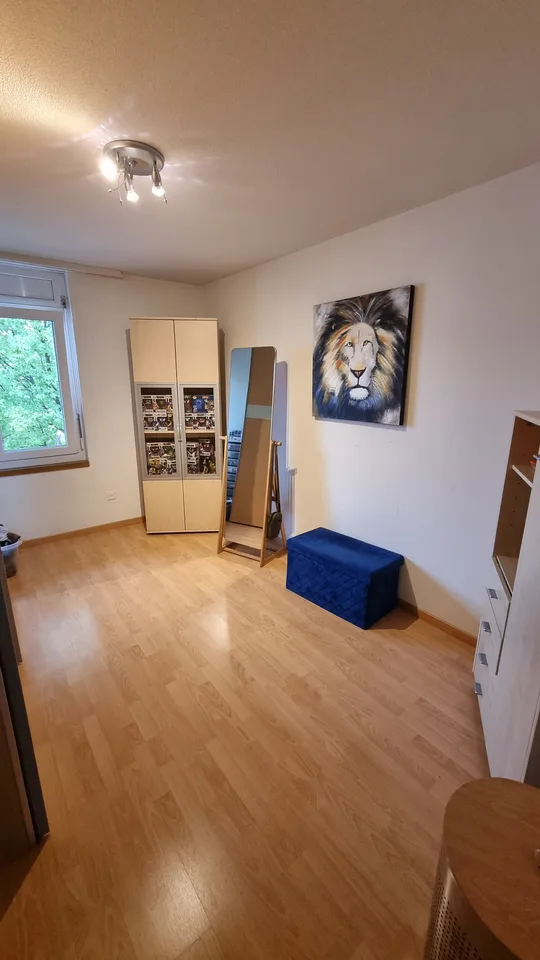 Appartement de 4,5 pièces modernisé dans un quartier calme