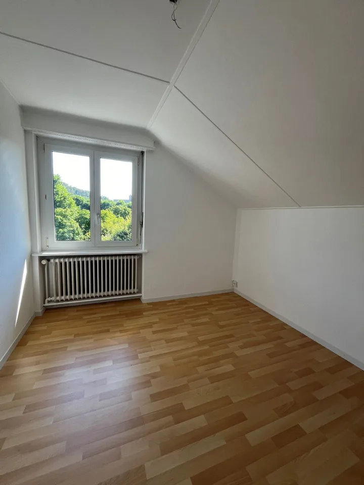 Freshly renovated attic apartments for well-being!
