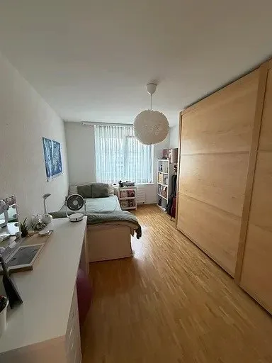 Grande appartamento ristrutturato di 4.5 locali con loggia
