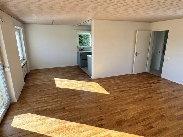 ***Erstvermietung nach Sanierung*** - 4.5-Zimmerwohnung mit Weitblick