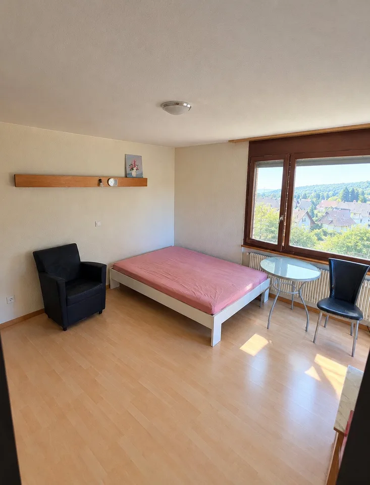 Stanze accoglienti con balcone a Gipf-Oberfrick