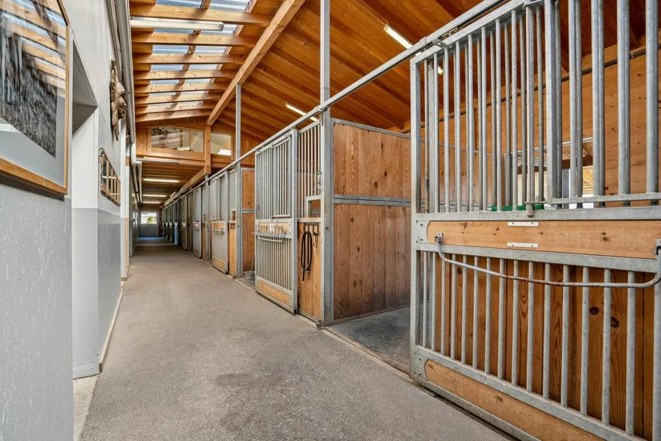 Proprietà equestre versatile con casa residenziale, loft per ufficio e arena di equitazione semi-coperta – foto 5 di 8