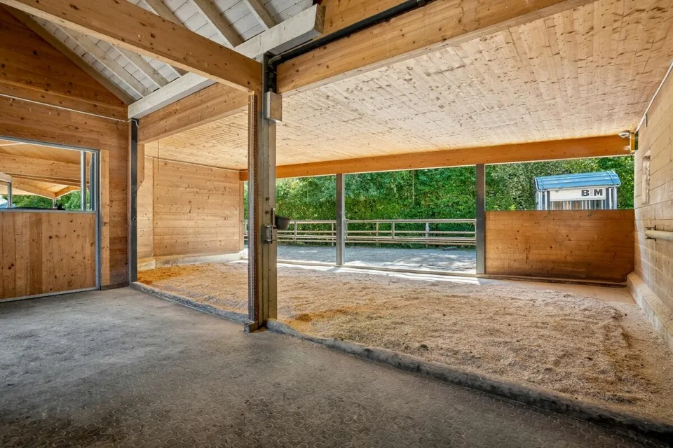 Proprietà equestre versatile con casa residenziale, loft per ufficio e arena di equitazione semi-coperta – foto 7 di 8