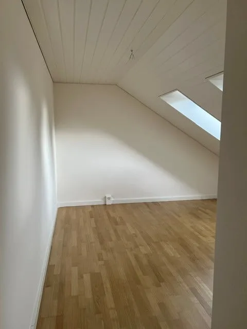 Attraktive 4.5-Zimmer-Dachwohnung in St. Gallen