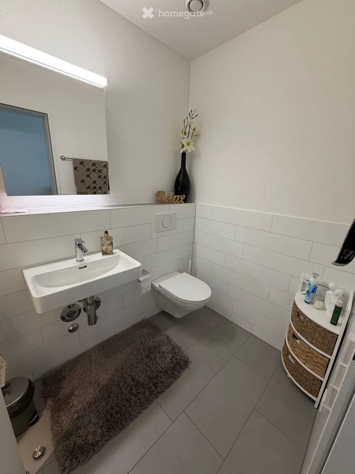 Bright 3.5-room apartment with balcony and beautiful view in Urdorf