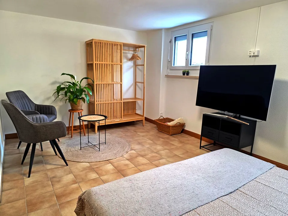 Renovierte Zweizimmerwohnung mit Terrasse und separatem Eingang in Loson...