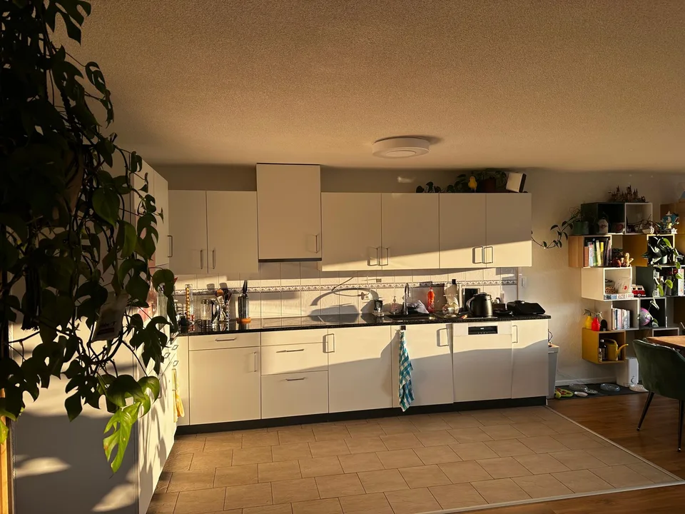 WG-Zimmer in Winterthur