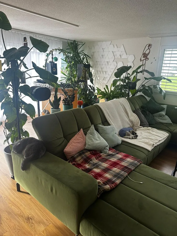 WG-Zimmer in Winterthur