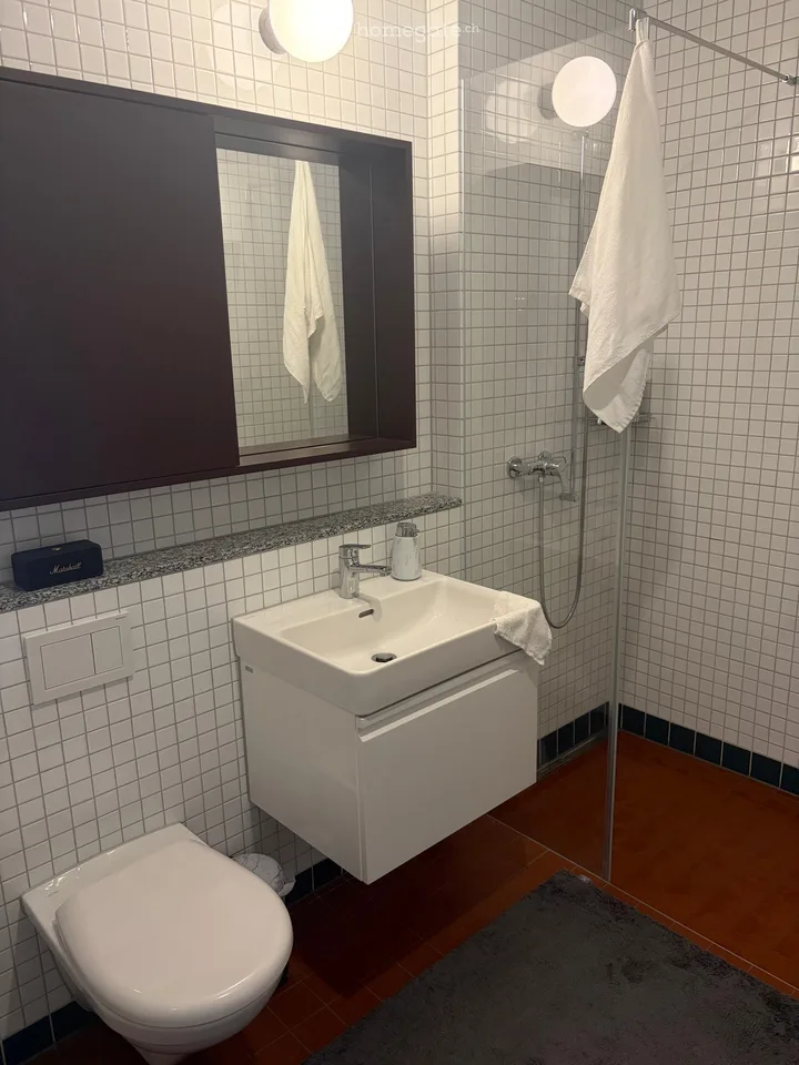 Modern 1.5-room attic apartment in Dietikon – New building from October 2026