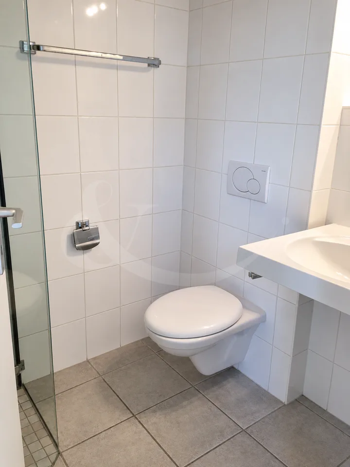 Beautiful contemporary semi-detached villa with 7 rooms ? Avusy