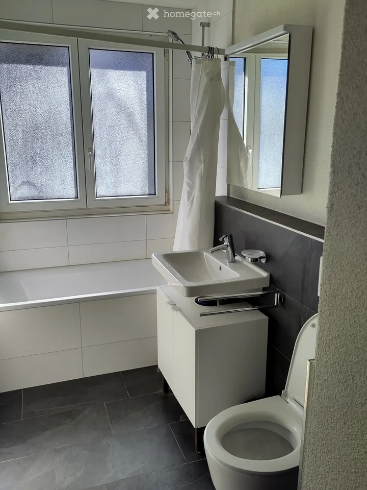 Appartement 3 pièces Uster