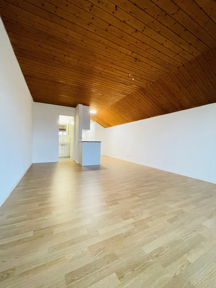 Studio spazioso rinnovato ad Aegerten