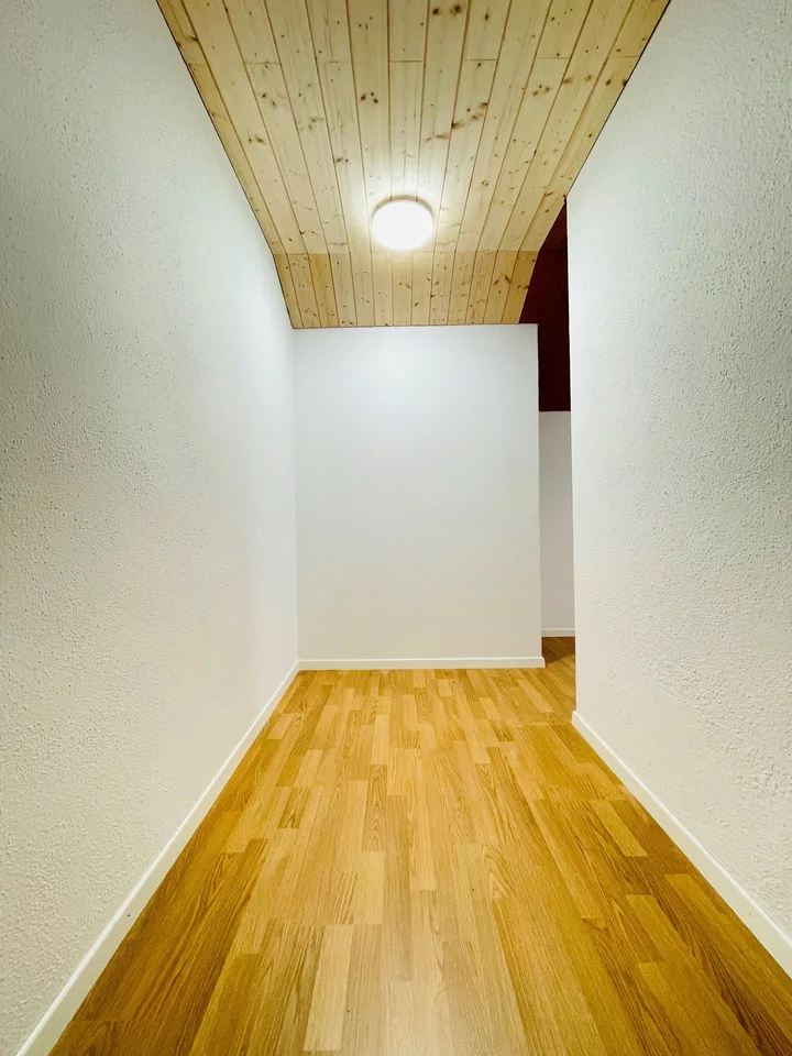 Studio spazioso rinnovato ad Aegerten