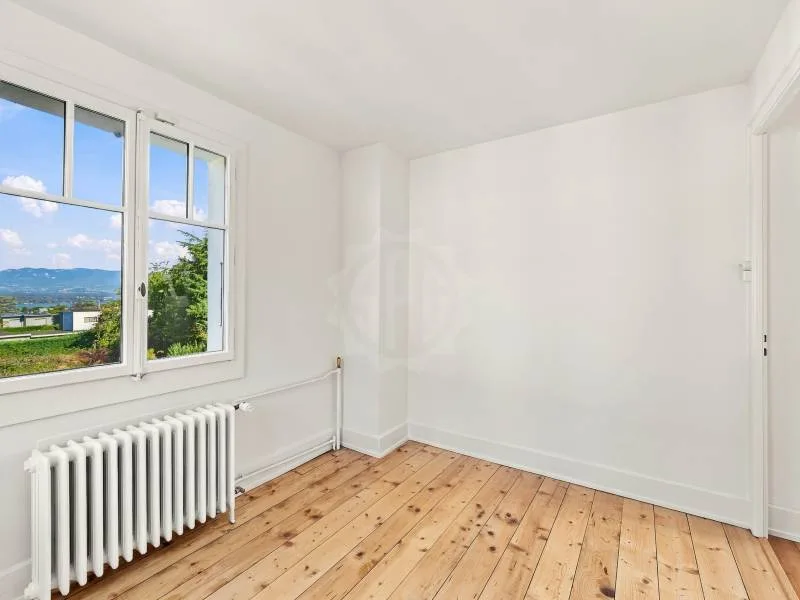 Chaleureuse villa - Collonge-Bellerive