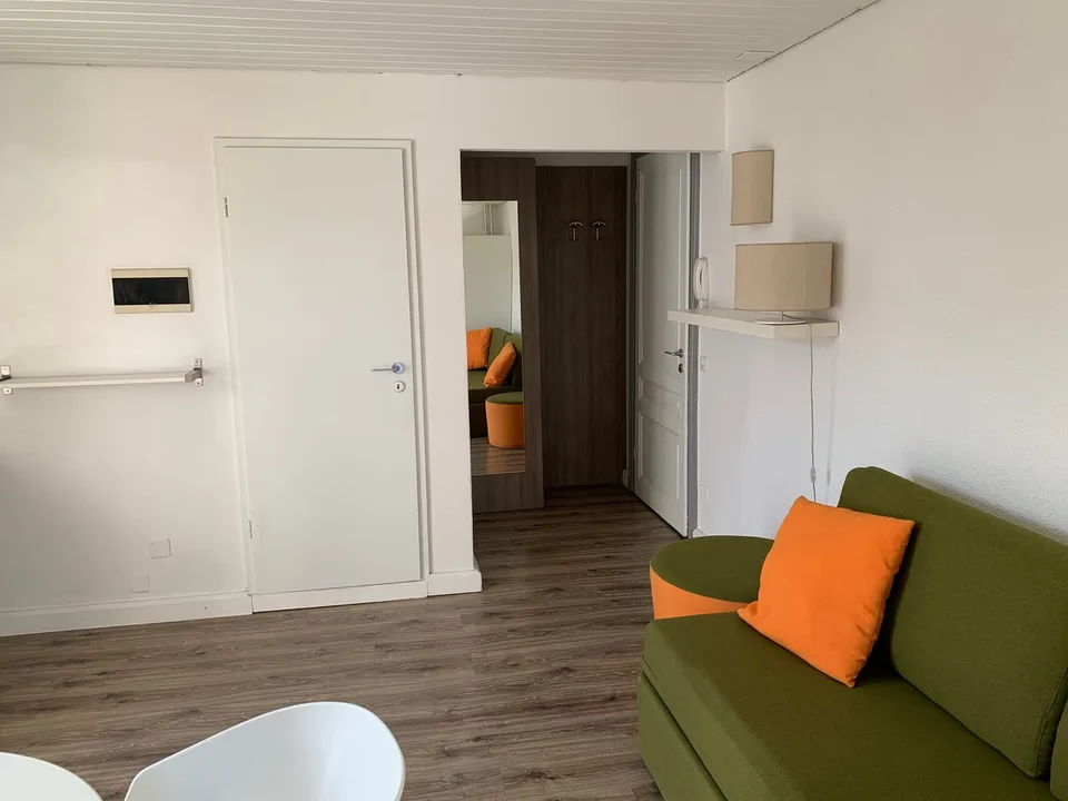 Einzimmerwohnung eingerichtet n.206 - Maraini