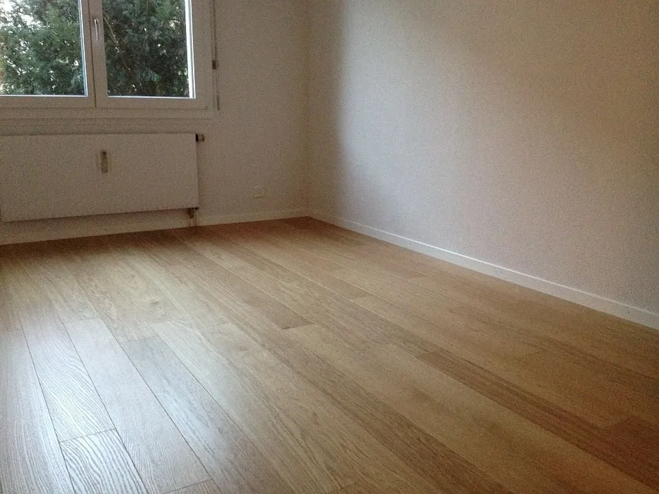 3 1/2-Zimmerwohnung, 1. Stock rechts