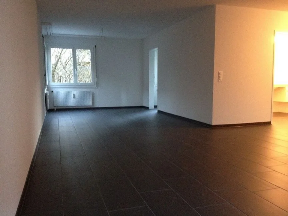 3 1/2-Zimmerwohnung, 1. Stock rechts