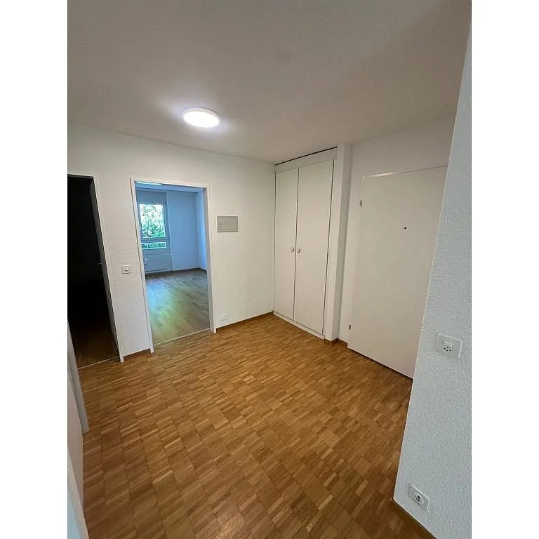 3 1/2 Zimmerwohnung, Parterre links