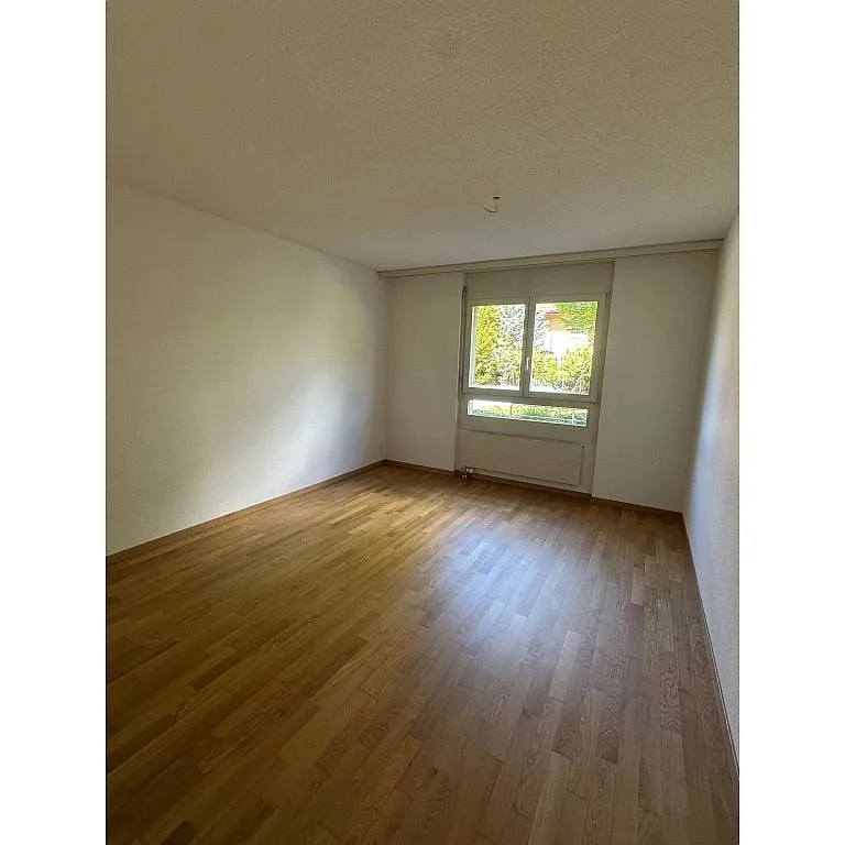 3 1/2 Zimmerwohnung, Parterre links