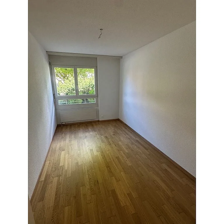 3 1/2 Zimmerwohnung, Parterre links