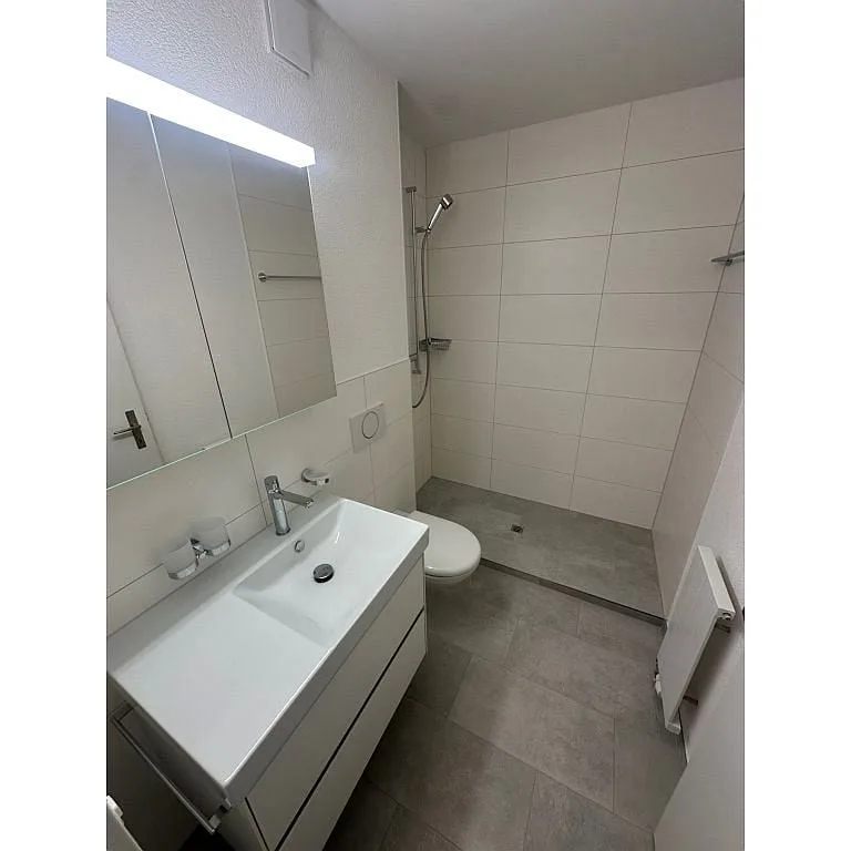 3 1/2 Zimmerwohnung, Parterre links