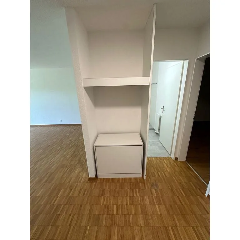 3 1/2 Zimmerwohnung, Parterre links