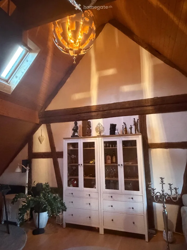 Charmant appartement 2.5 pièces dans un immeuble ancien avec terrasse immense