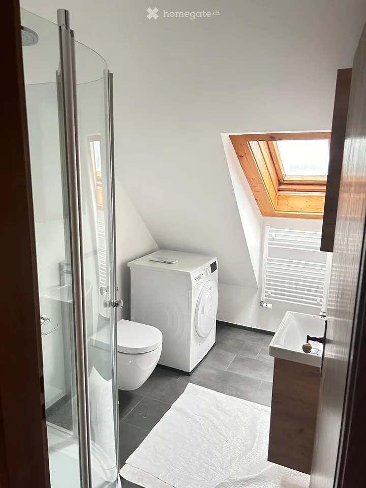 Charmant appartement 2.5 pièces dans un immeuble ancien avec terrasse immense