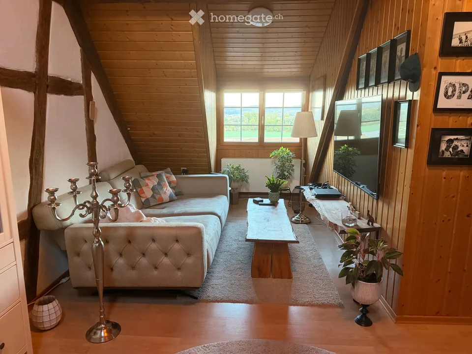 Charmant appartement 2.5 pièces dans un immeuble ancien avec terrasse immense