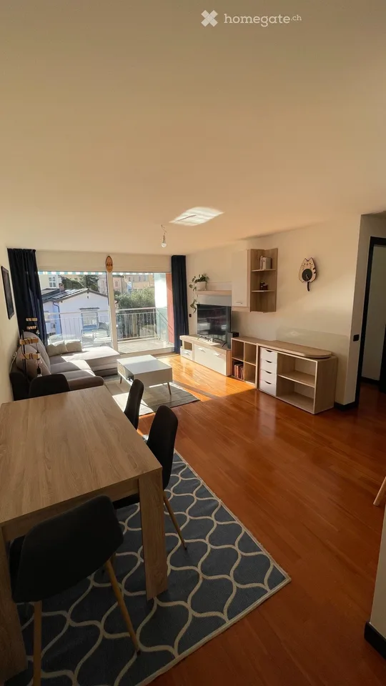 Recherché avec urgence : appartement 2,5 pièces à Minusio