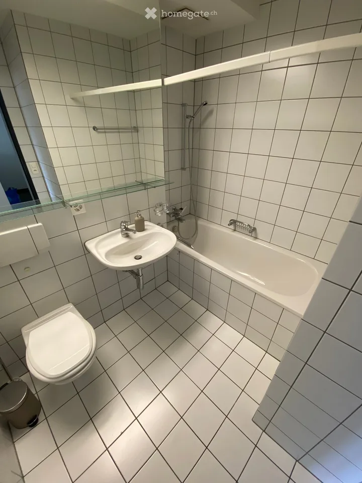 Charmantes 2.5-Zimmer-Apartment im Herzen von Zug – sofort verfügbar