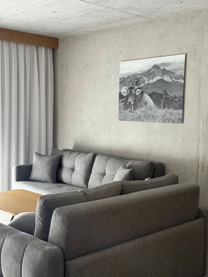 Appartement meublé de construction neuve Savognin