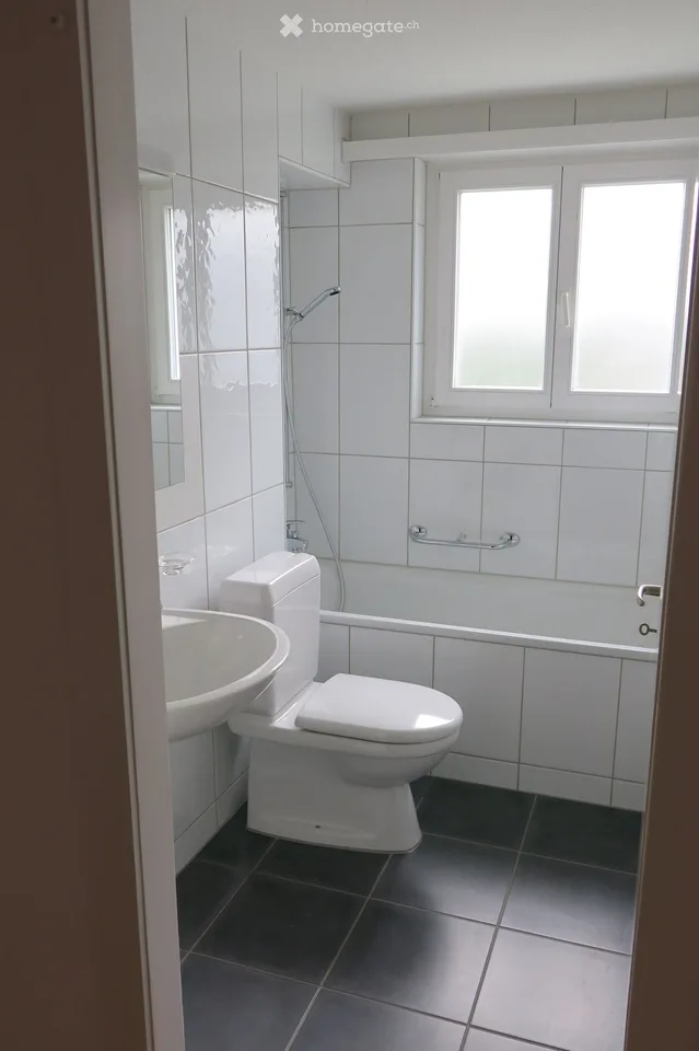 Helle 3-Zimmerwohnung in Oberwinterthur