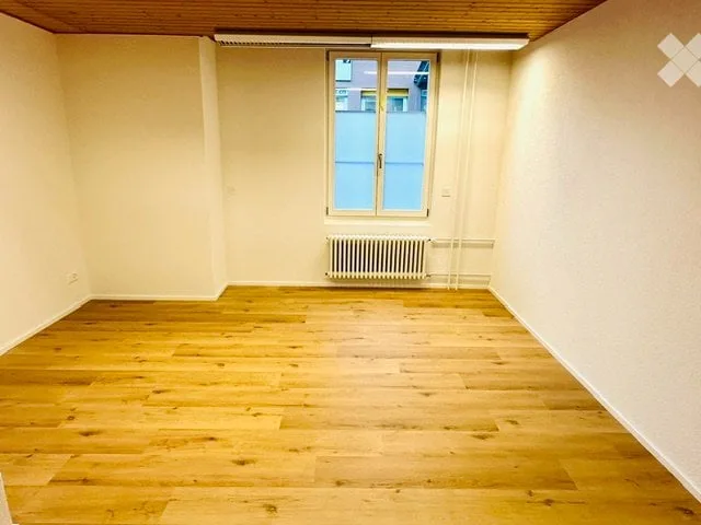 Renting a newly renovated 2.5-room apartment